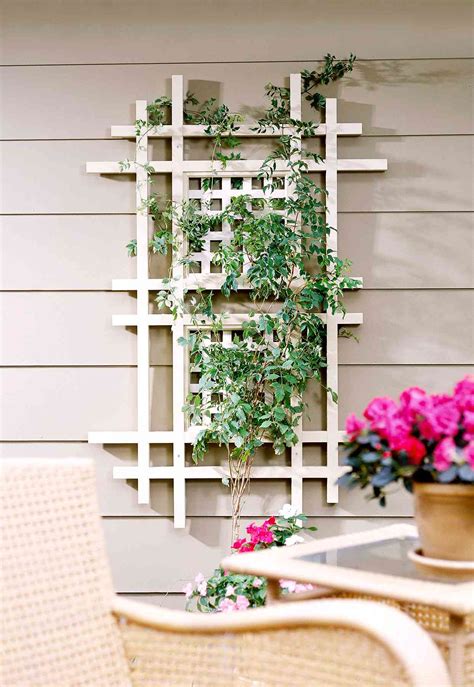 wall mounted trellis ideas